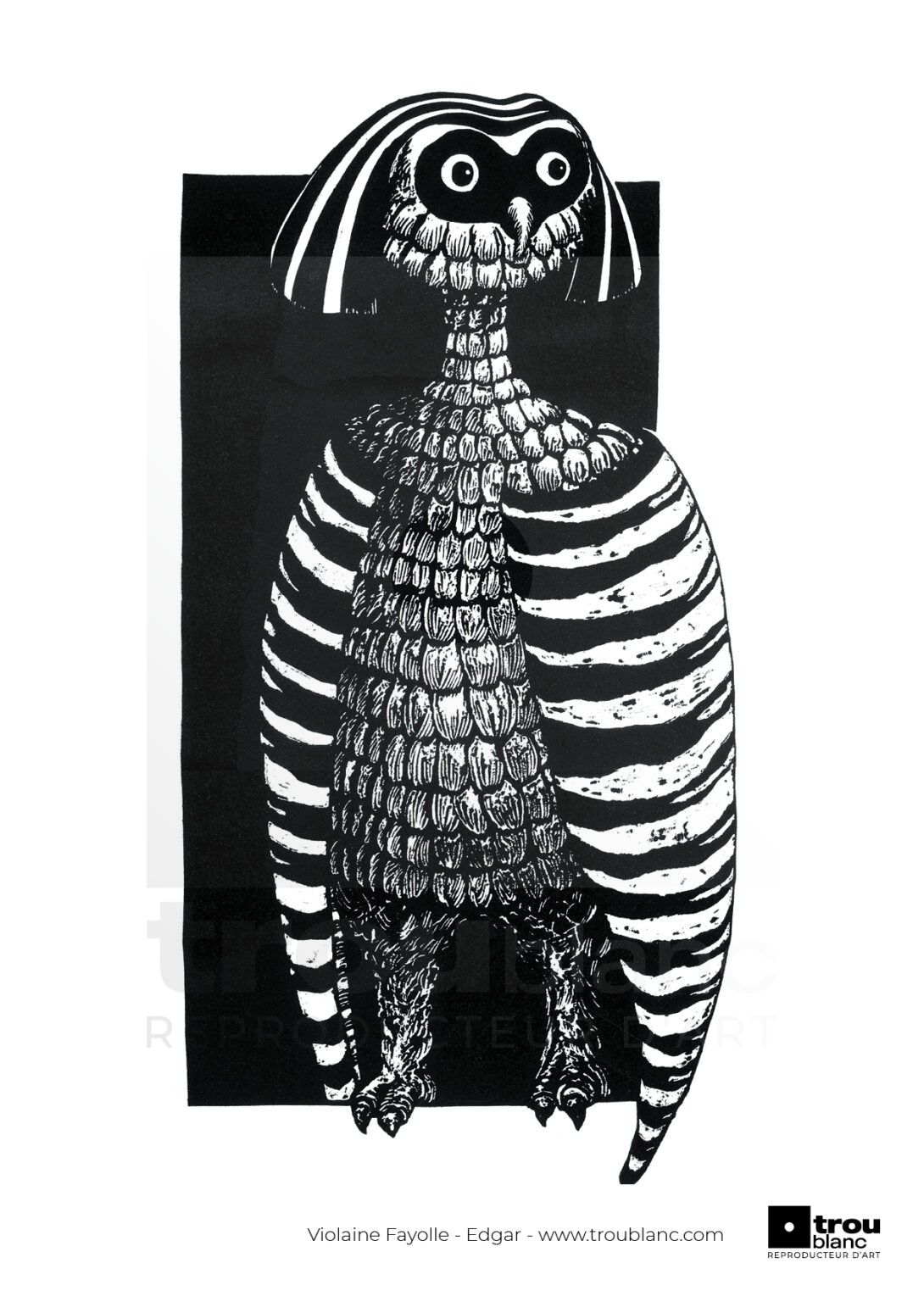 Violaine-Fayolle_Edgar