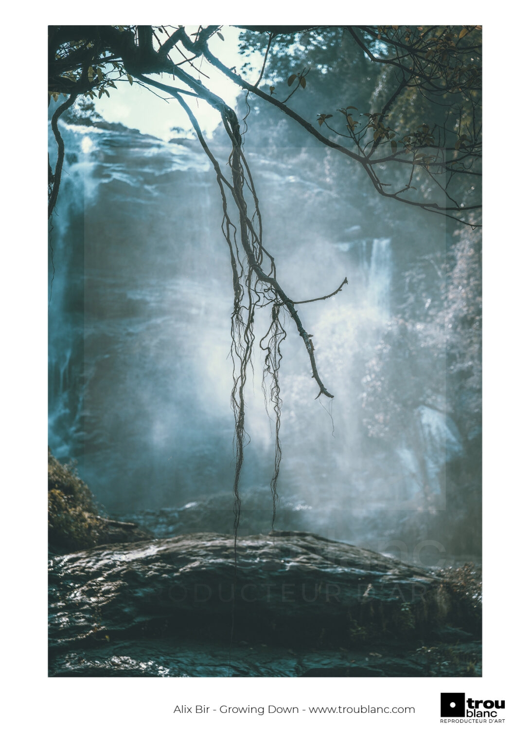 ALIX BIR_Growing Down