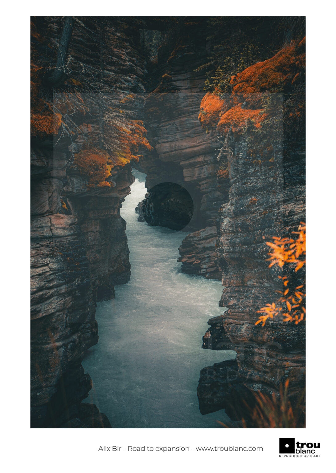 ALIX BIR_Road to Expansion